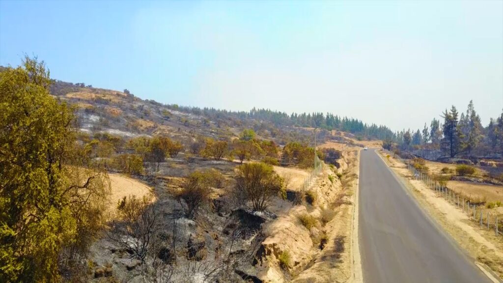 Incendios forestales, suelos y resiliencia territorial: reflexiones desde la Sociedad Chilena de la Ciencia del Suelo